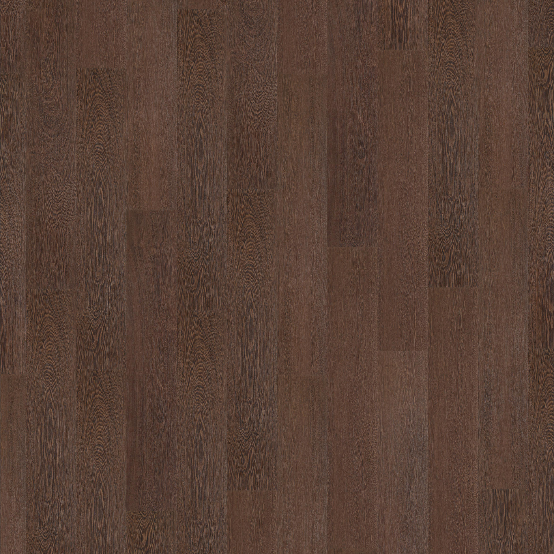 トランプ JAZZ Bu FLEX ビットストラップローファー ダークブルー | 25930 DBU/S