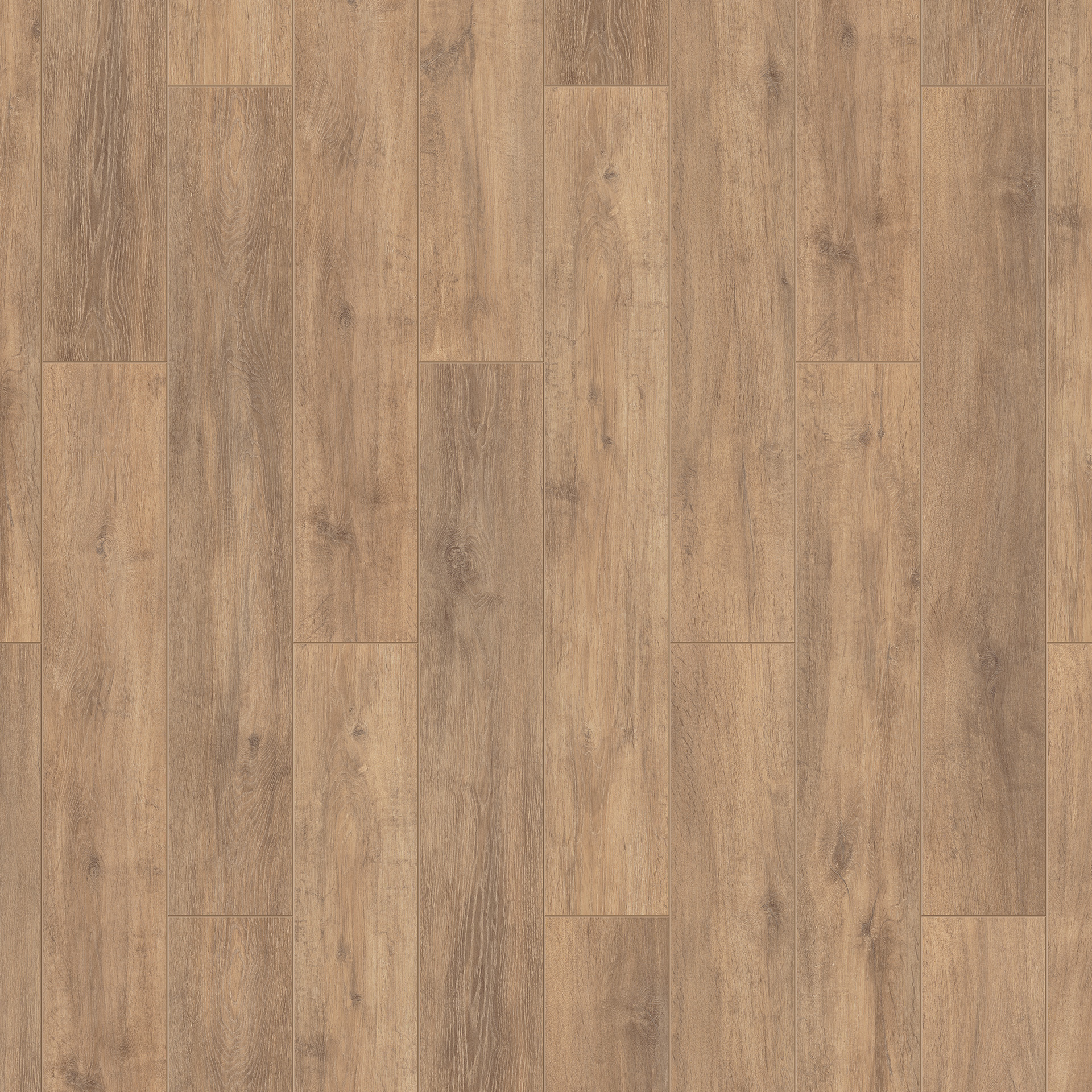 Ламинат - ESTETICA - Graphics / Графика